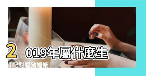 豬和兔合嗎|生肖配對｜屬豬12生肖夫妻配對表！最佳姻緣及相沖排